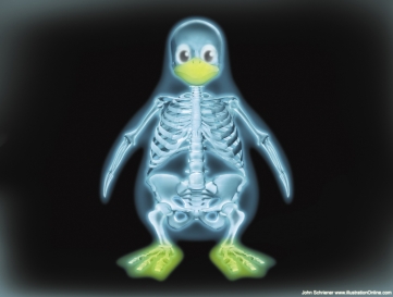 x ray linux