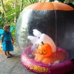 Boo at the zoo
