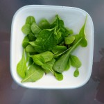 Freshly Cut Salad From My Garden